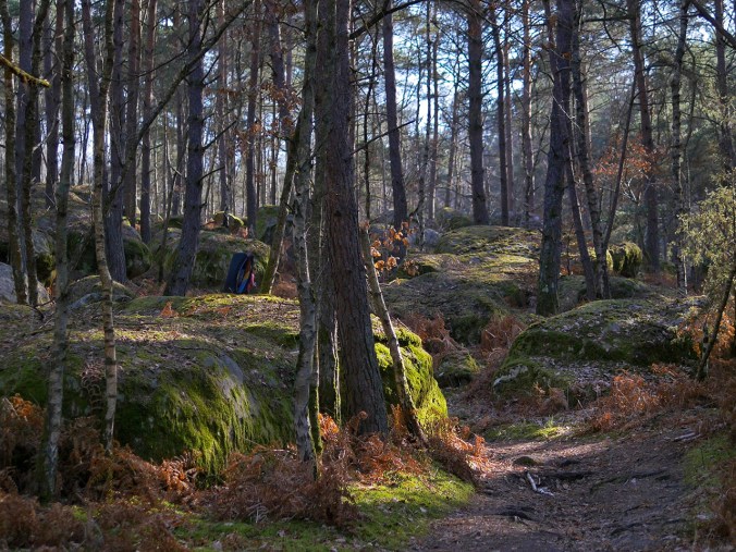 Fontainebleaun metsä keväällä 2017