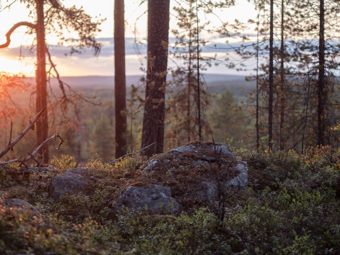 Maisemaa vaaran päältä