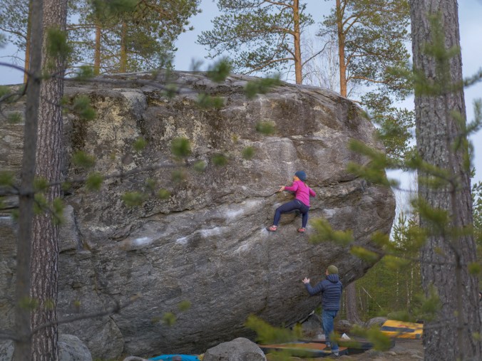 Elämä on pyyttonia 7B